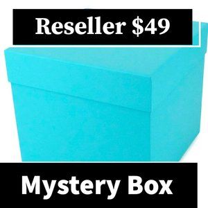 Reseller Mystery Box - Bags and Accessories - $49 - ALL NWT